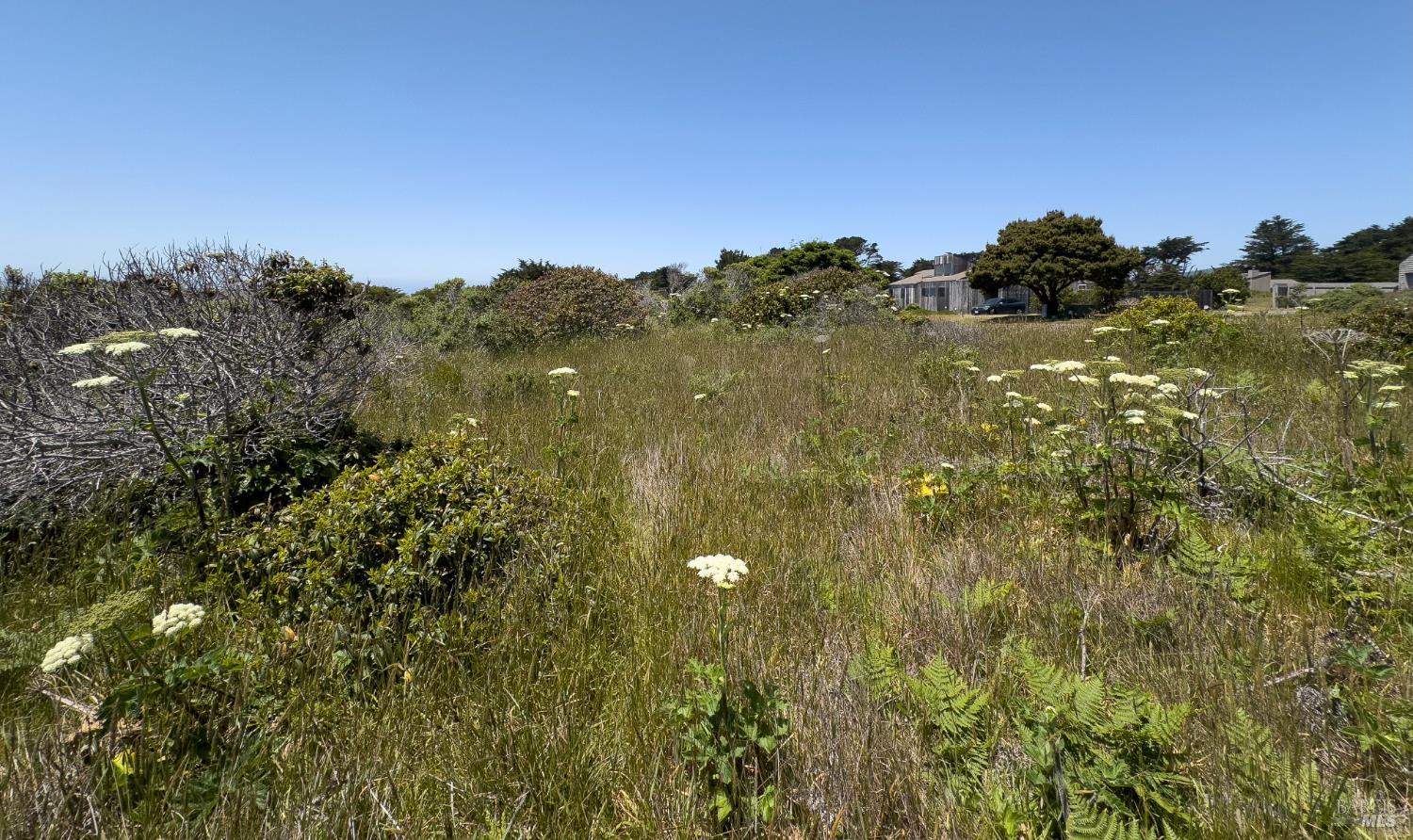 56 Sea Meadow Drive The Sea Ranch CA 95497