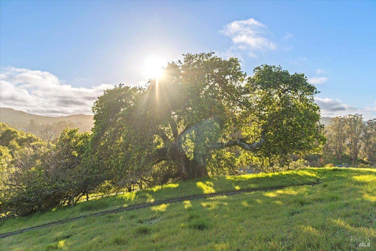 45 Augusta Circle Petaluma CA 94952
