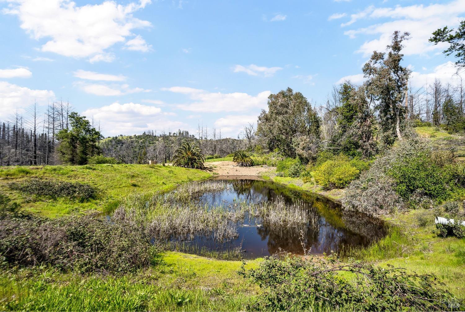 7777 Mill Creek Road Healdsburg CA 95448
