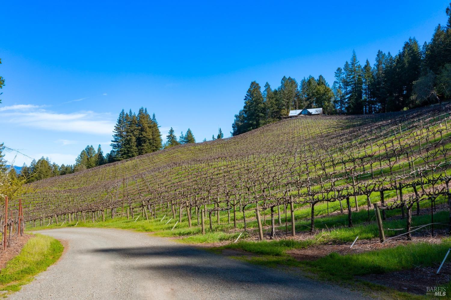 18276 Highway 128 Calistoga CA 94515