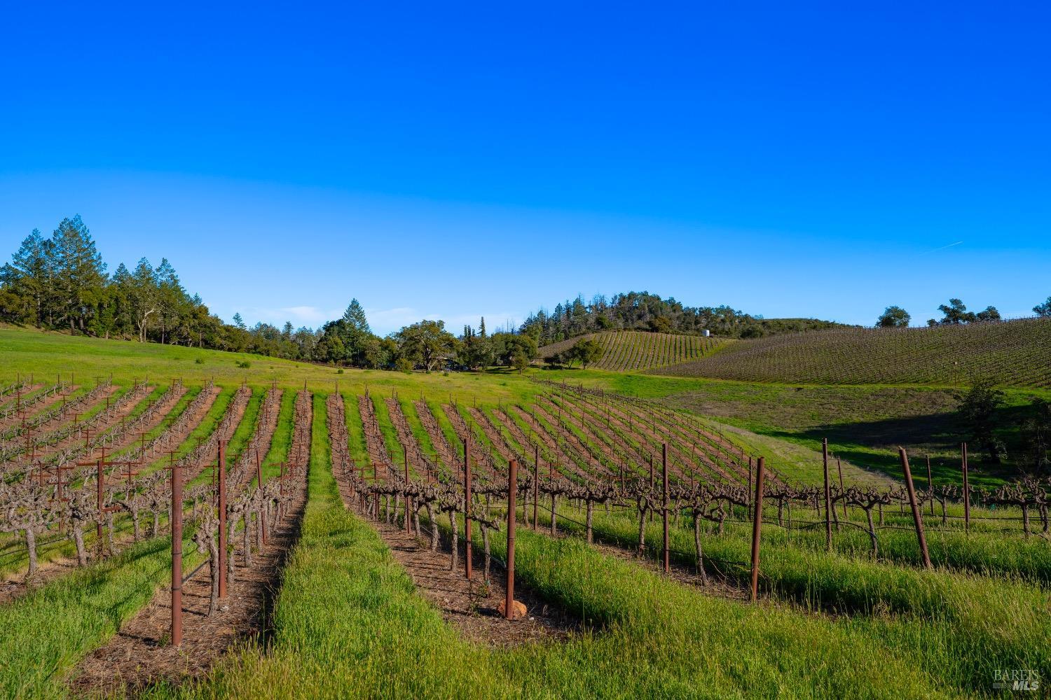 18276 Highway 128 Calistoga CA 94515