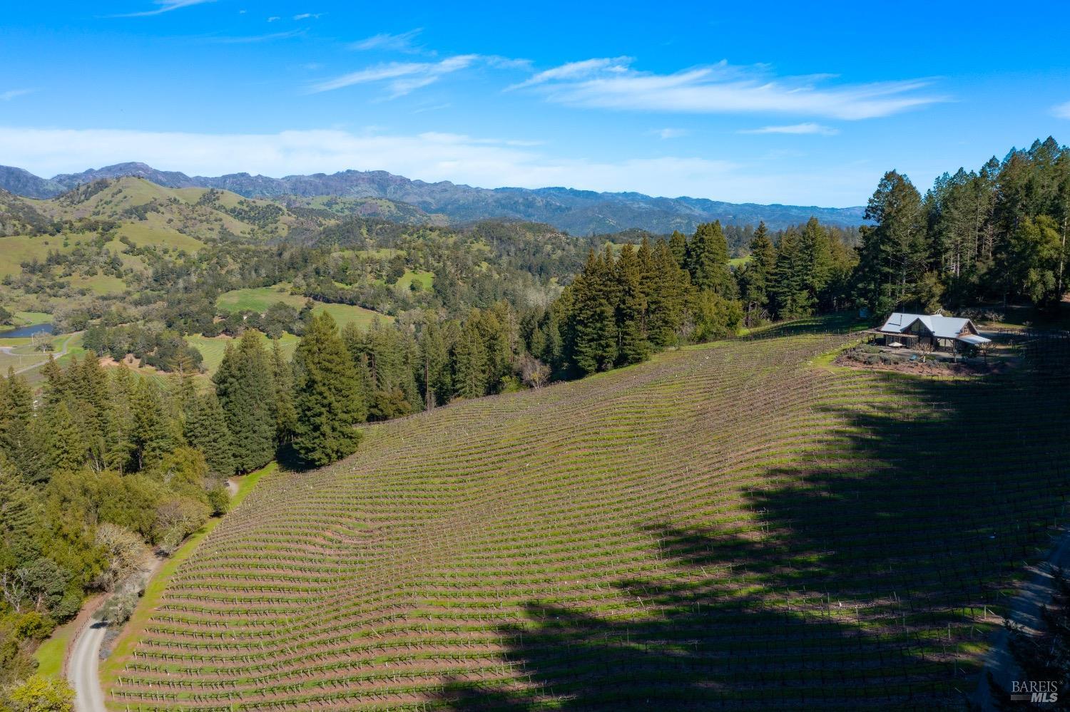 18276 Highway 128 Calistoga CA 94515