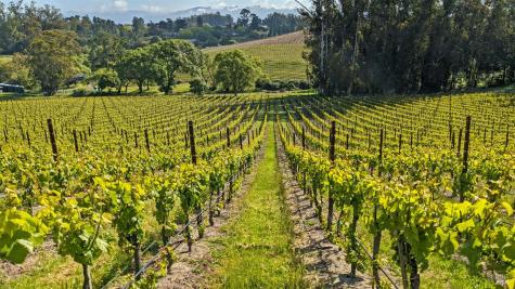 5215 Blank Road Sebastopol CA 95472