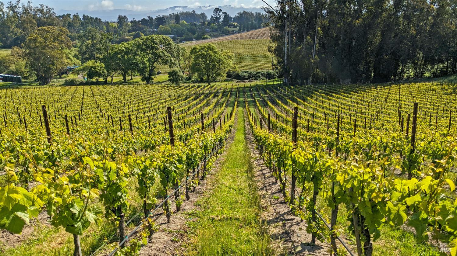 5215 Blank Road Sebastopol CA 95472