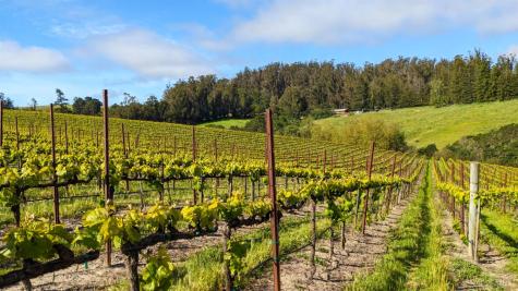 5215 Blank Road Sebastopol CA 95472