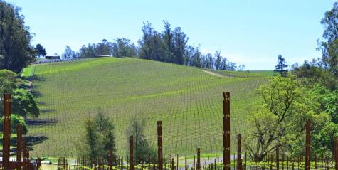 5215 Blank Road Sebastopol CA 95472