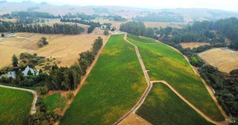 5215 Blank Road Sebastopol CA 95472