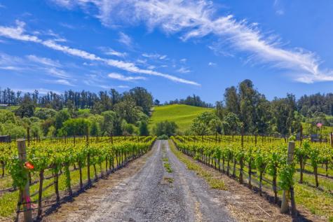 5215 Blank Road Sebastopol CA 95472