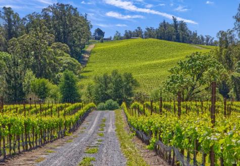 5215 Blank Road Sebastopol CA 95472