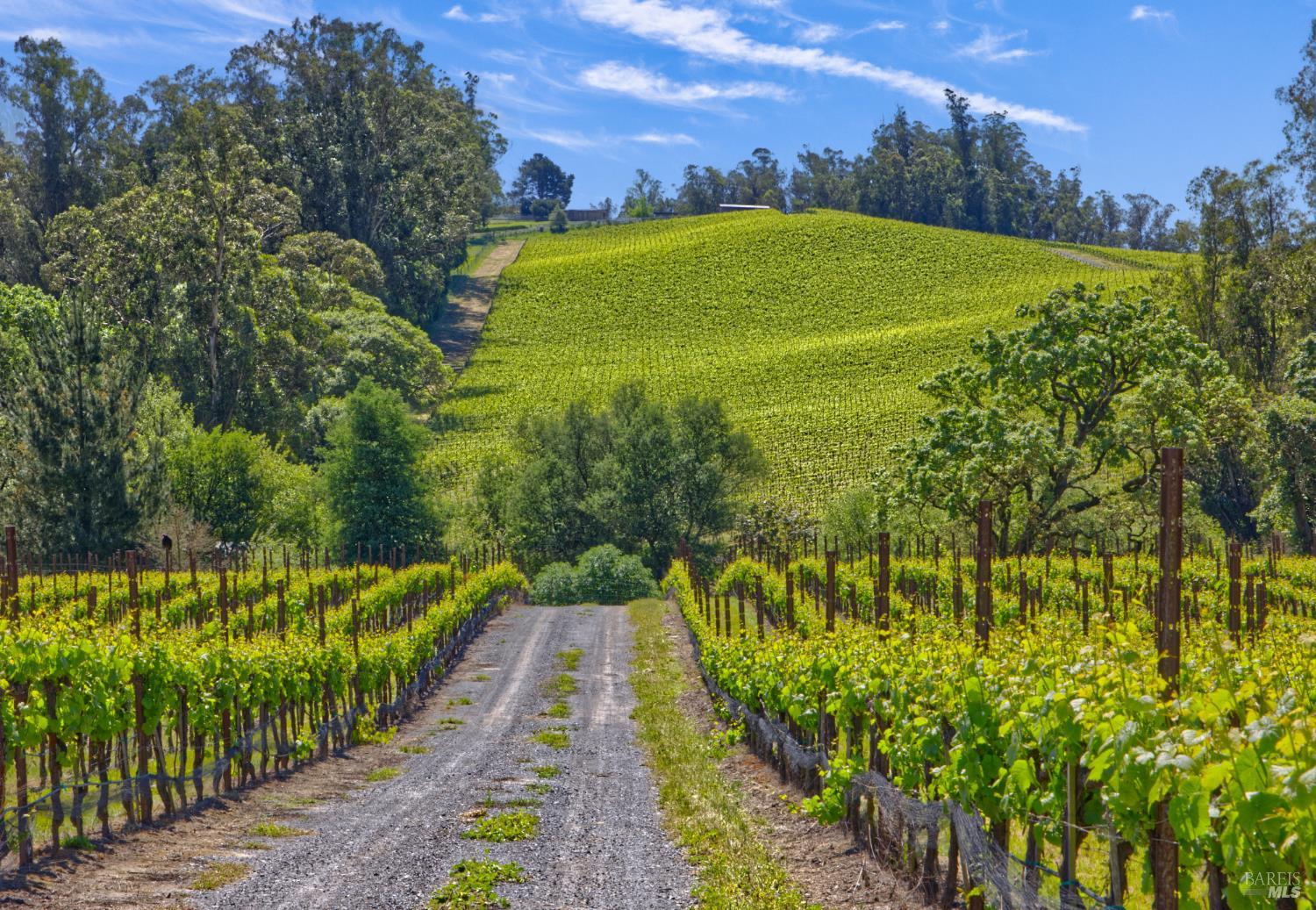 5215 Blank Road Sebastopol CA 95472