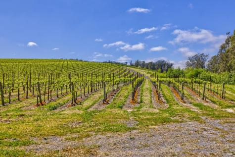 5215 Blank Road Sebastopol CA 95472