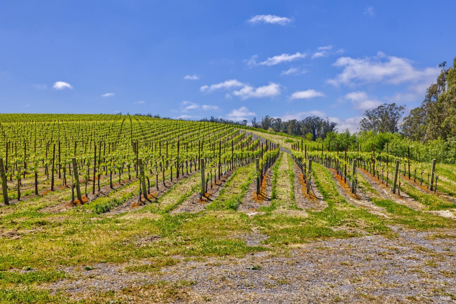 5215 Blank Road Sebastopol CA 95472