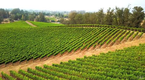 5215 Blank Road Sebastopol CA 95472