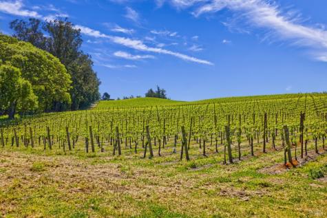 5215 Blank Road Sebastopol CA 95472