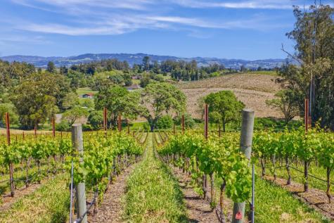 5215 Blank Road Sebastopol CA 95472
