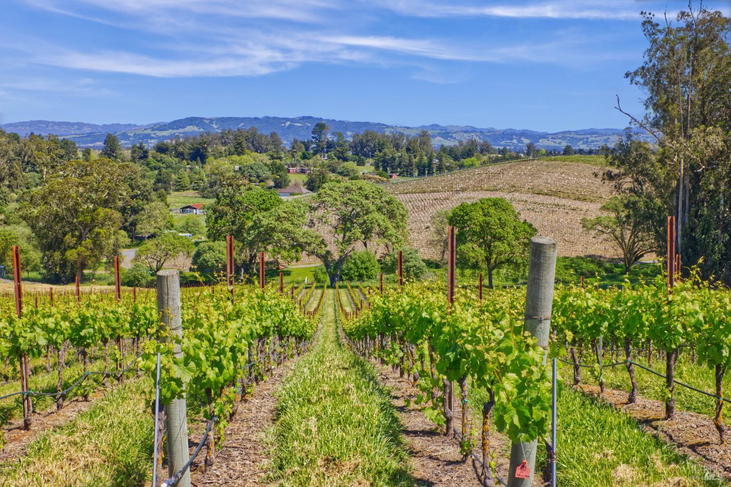 5215 Blank Road Sebastopol CA 95472