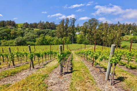 5215 Blank Road Sebastopol CA 95472
