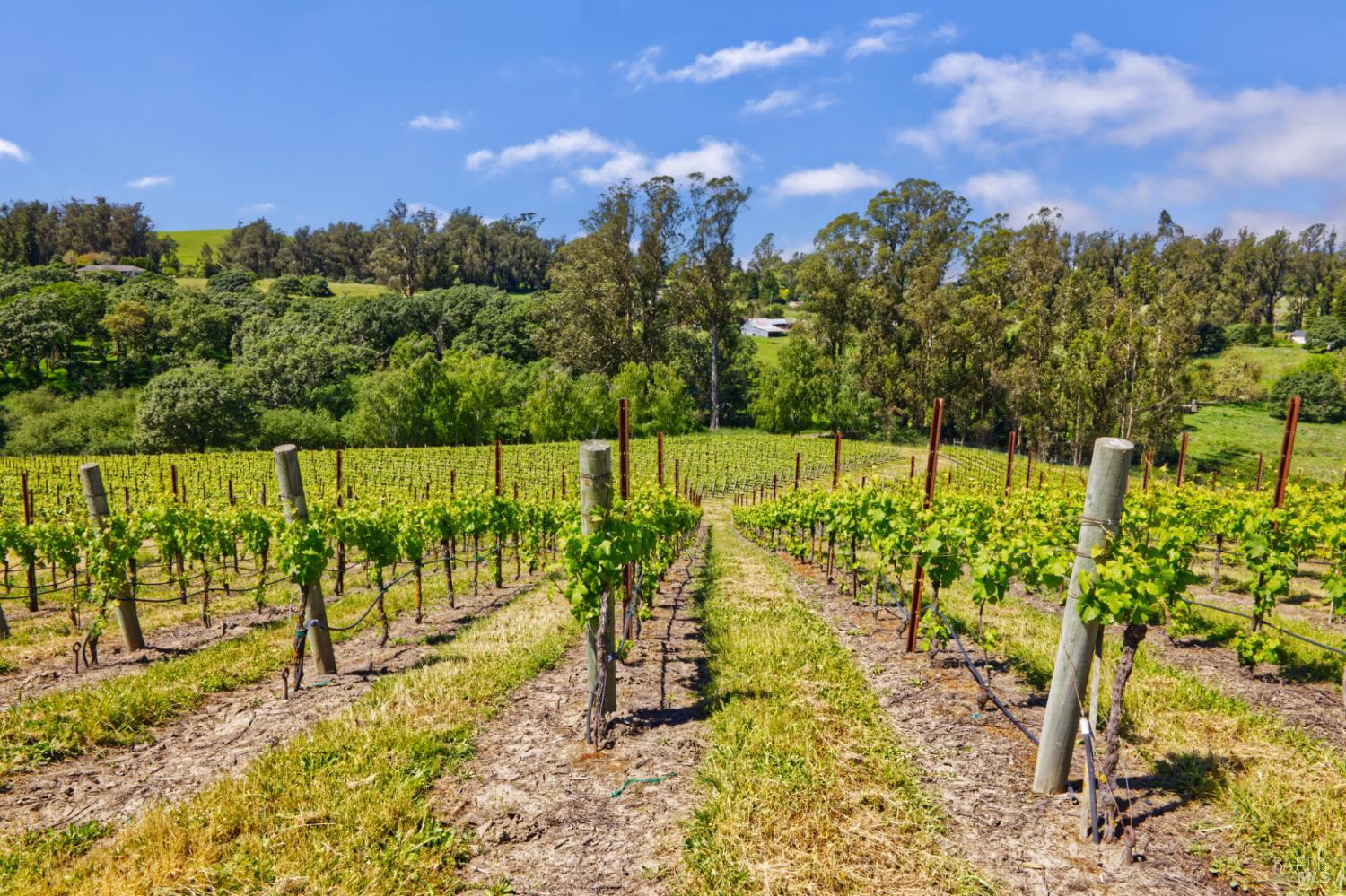 5215 Blank Road Sebastopol CA 95472