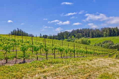 5215 Blank Road Sebastopol CA 95472