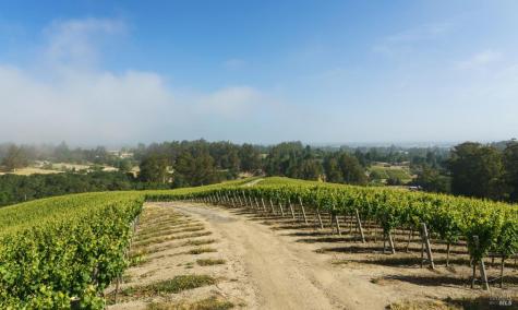 5215 Blank Road Sebastopol CA 95472