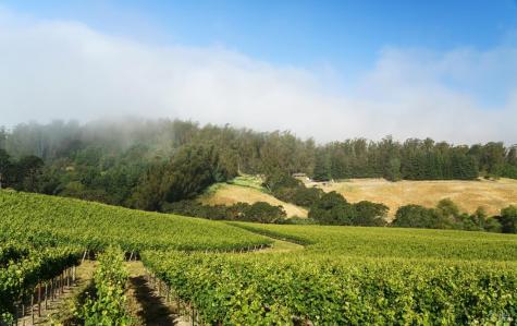 5215 Blank Road Sebastopol CA 95472