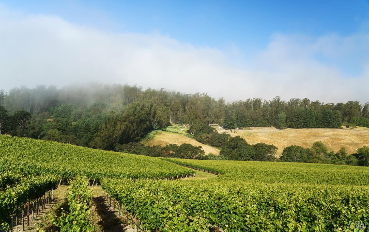 5215 Blank Road Sebastopol CA 95472