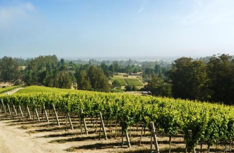 5215 Blank Road Sebastopol CA 95472