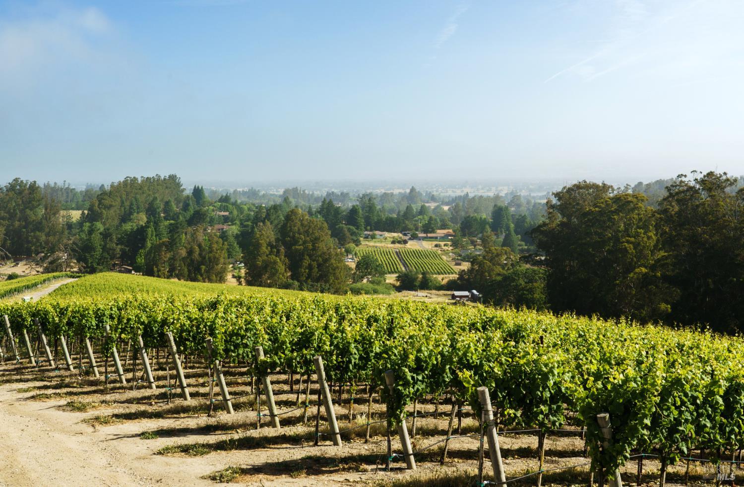 5215 Blank Road Sebastopol CA 95472