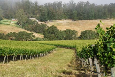 5215 Blank Road Sebastopol CA 95472