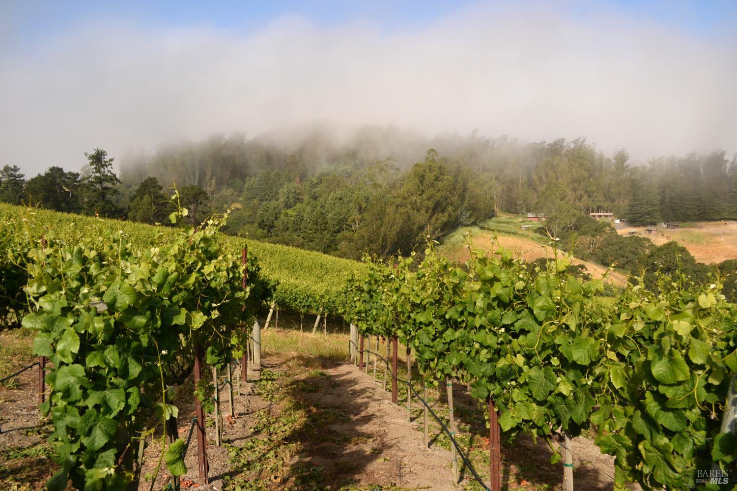 5215 Blank Road Sebastopol CA 95472