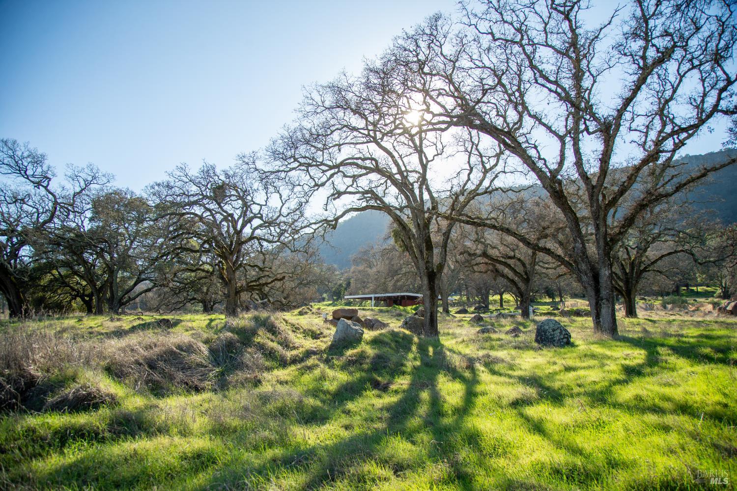 3576 Monticello Road Napa CA 94558