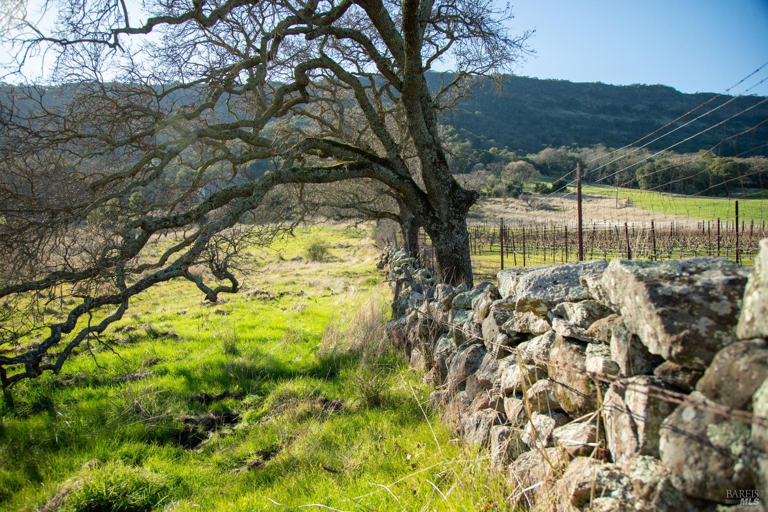 3576 Monticello Road Napa CA 94558