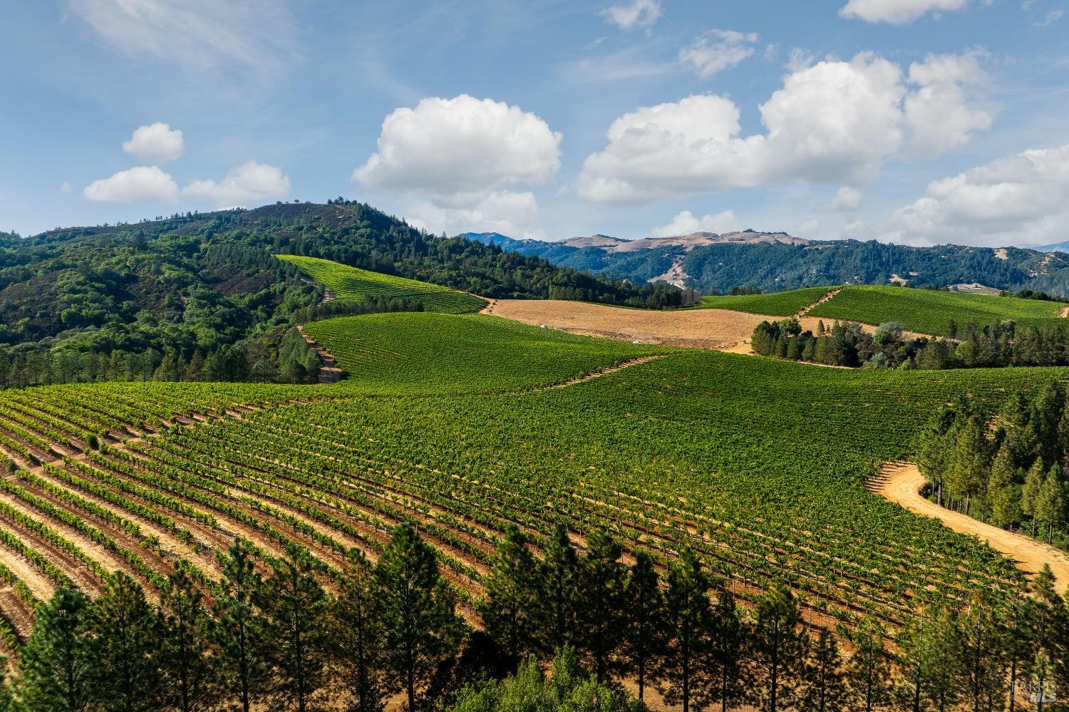 9965 W Dry Creek Road Healdsburg CA 95448