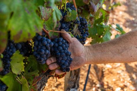 9965 W Dry Creek Road Healdsburg CA 95448