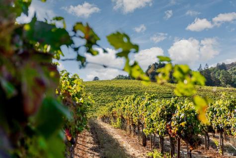 9965 W Dry Creek Road Healdsburg CA 95448