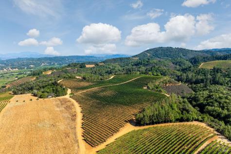 9965 W Dry Creek Road Healdsburg CA 95448