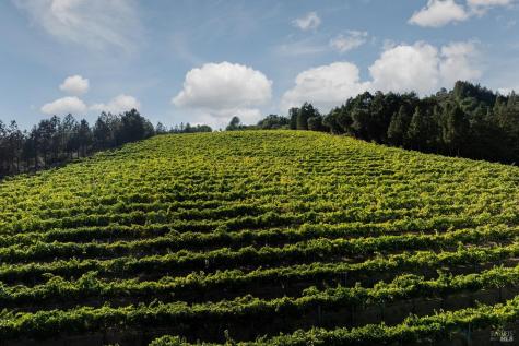 9965 W Dry Creek Road Healdsburg CA 95448