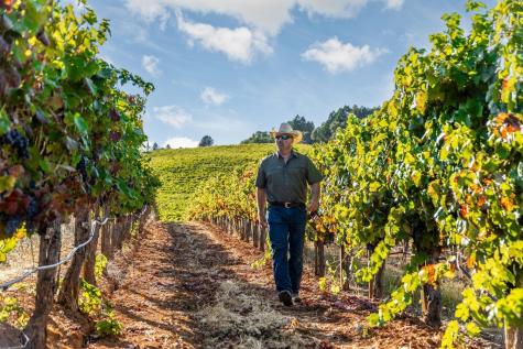 9965 W Dry Creek Road Healdsburg CA 95448