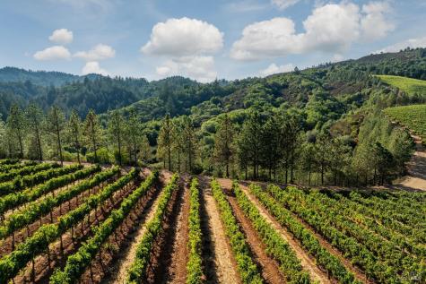 9965 W Dry Creek Road Healdsburg CA 95448