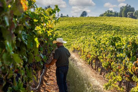 9965 W Dry Creek Road Healdsburg CA 95448