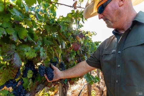 9965 W Dry Creek Road Healdsburg CA 95448