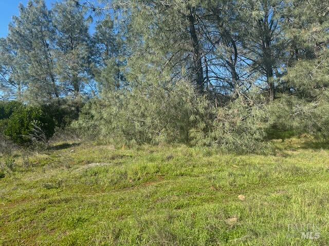 16295 Tinilyn Road Lower Lake CA 95457