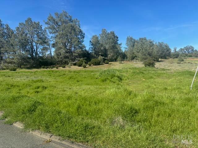 16295 Tinilyn Road Lower Lake CA 95457
