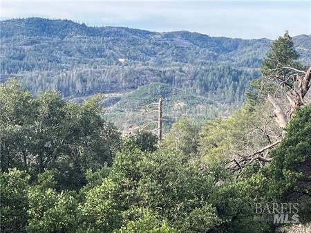 9457 Fox Drive Cobb CA 95426