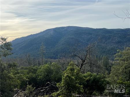 9457 Fox Drive Cobb CA 95426