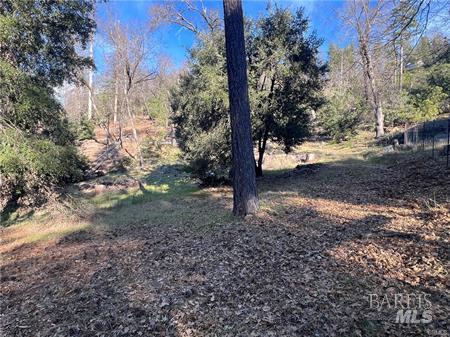 9457 Fox Drive Cobb CA 95426
