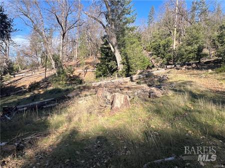 9457 Fox Drive Cobb CA 95426