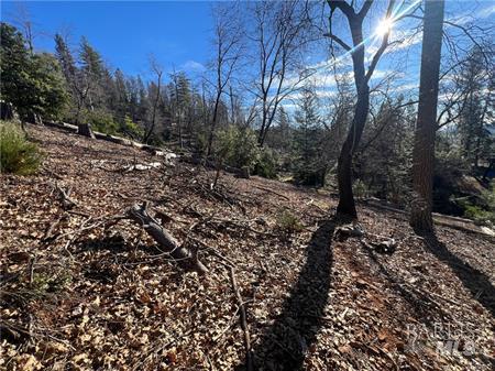 9457 Fox Drive Cobb CA 95426