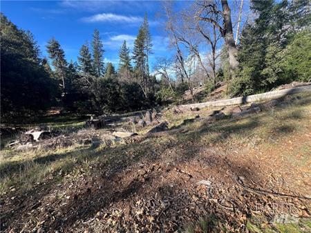 9457 Fox Drive Cobb CA 95426