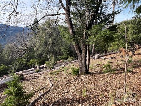 9457 Fox Drive Cobb CA 95426